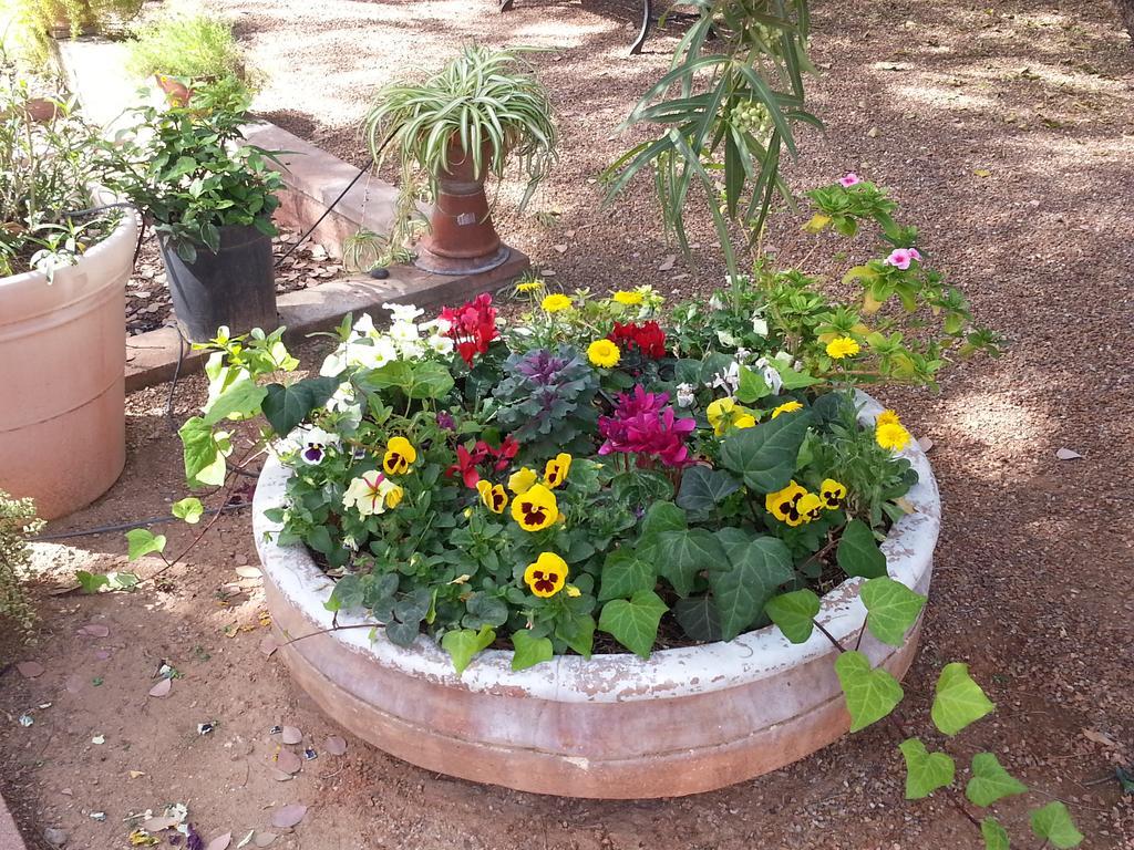 Sam Hughes Inn B&B Тусон Екстериор снимка